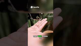 Stubborn Spots Vanish Ancient Golden Oil for Glowing Skin
get rid of dark spots, skin spots, age spots, and more.
✳️My Store:
Links
SGHealthwellness
https://www.sghealthwellness.com
50 Black Seed Oil Remedies
https://www.sghealthwellness.com/prod...
50 Castor Oil Remedies Guide
https://www.sghealthwellness.com/prod...
50 Ancient Beauty Secrets
https://www.sghealthwellness.com/prod...
📬EMAIL: / @solargirlhomestead
❤️THANKS FOR WATCHING!❤️
#SolargirlHomestead #castoroil #moringa #blackseedoil #lookyounger
▶Disclaimer: I am schooled in nutrition, but I am not a medical doctor. The content is not intended to be a substitute for professional medical advice, diagnosis, or treatment. This video is for education purposes only. Always seek the advice of your physician or other qualified healthcare provider with any questions you may have regarding a medical condition or proper nutritional advice. Never disregard professional medical advice or delay in seeking it because of something you have watched on this video. Join this channel to get access to perks:
/ @solargirlhomestead Stubborn Spots Vanish Ancient Golden Oil for Glowing Skin