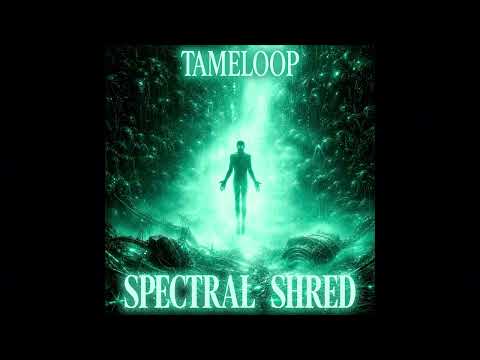 Tameloop - Spectral Shred