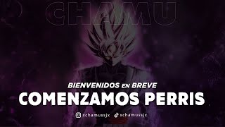 PACK de OVERLAYS ANIMADOS GOKU | XCHAMUSSJX