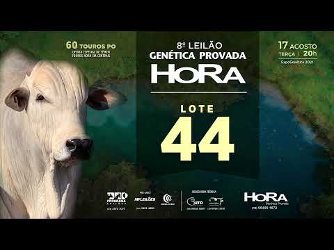 LOTE 44