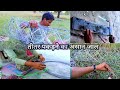 तीतर पकड़ने का नया जाल हमने बनाया |  how to make grey francolin wild bird catching net