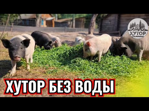 ХУТОР ПРЕДКОВ БЕЗ ВОДЫ, БЕЗ ДОРОГ И БЕЗ НОРМАЛЬНОГО ЭЛЕКТРИЧЕСТВА ПРОДОЛЖАЕТ ЖИТЬ.