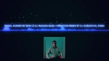 PHOOL KUMARI RE NEW CG DJ NAGADA  STAYAL BASS VIBRATION