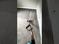 Steam Cleaning ASMR with AJS Carpet Cleaning
