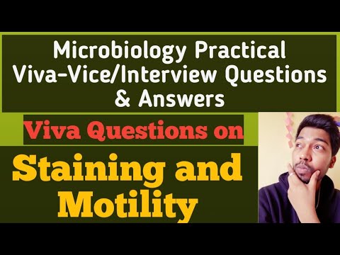 Viva & Interview questions on Staining and Motility|Microbiology|Rohit Mane| @Scientist R Academy