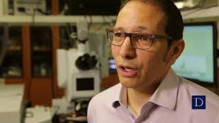 Terahertz Metamaterials with Willie Padilla