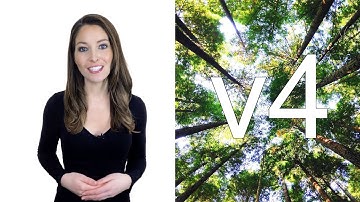 🔔 Introduction - Turn Off the Lights Browser Extension version 4