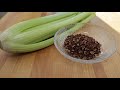 最简单好吃芹菜的做法-只要加一种香料，平淡中可见惊奇|Recipe for celery|Simple and delicious