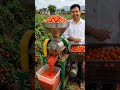 🍅 Tomato Processing Machine Business Idea 🚜 | Village Startup Machine 2026 #shorts