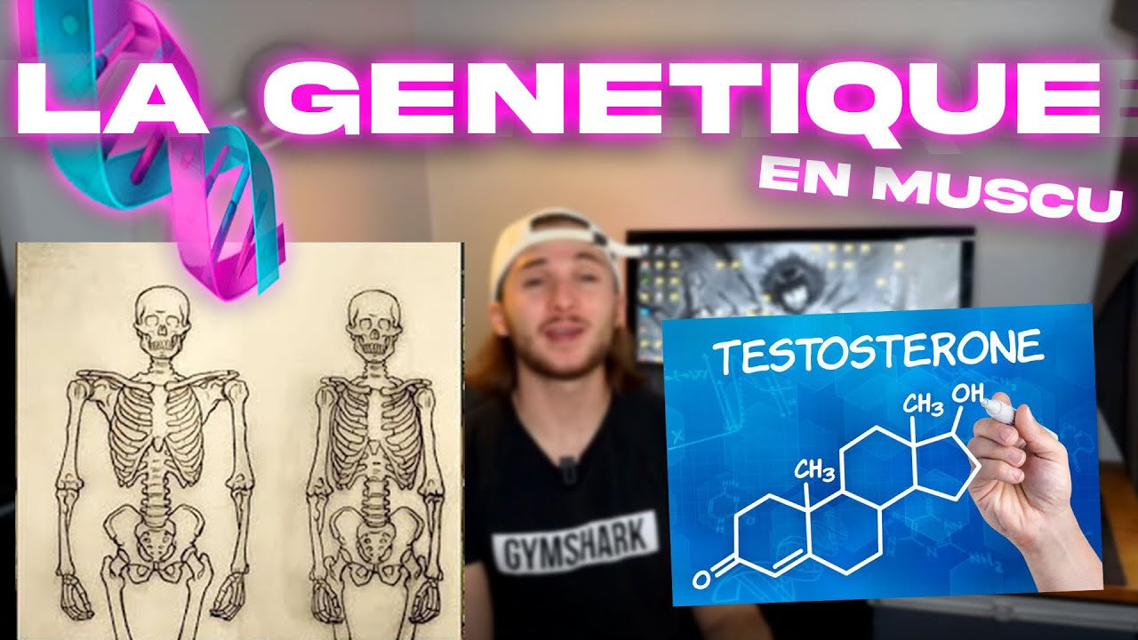 COMPRENDRE LA GÉNÉTIQUE EN MUSCULATION ( HORMONES , METABOLISME