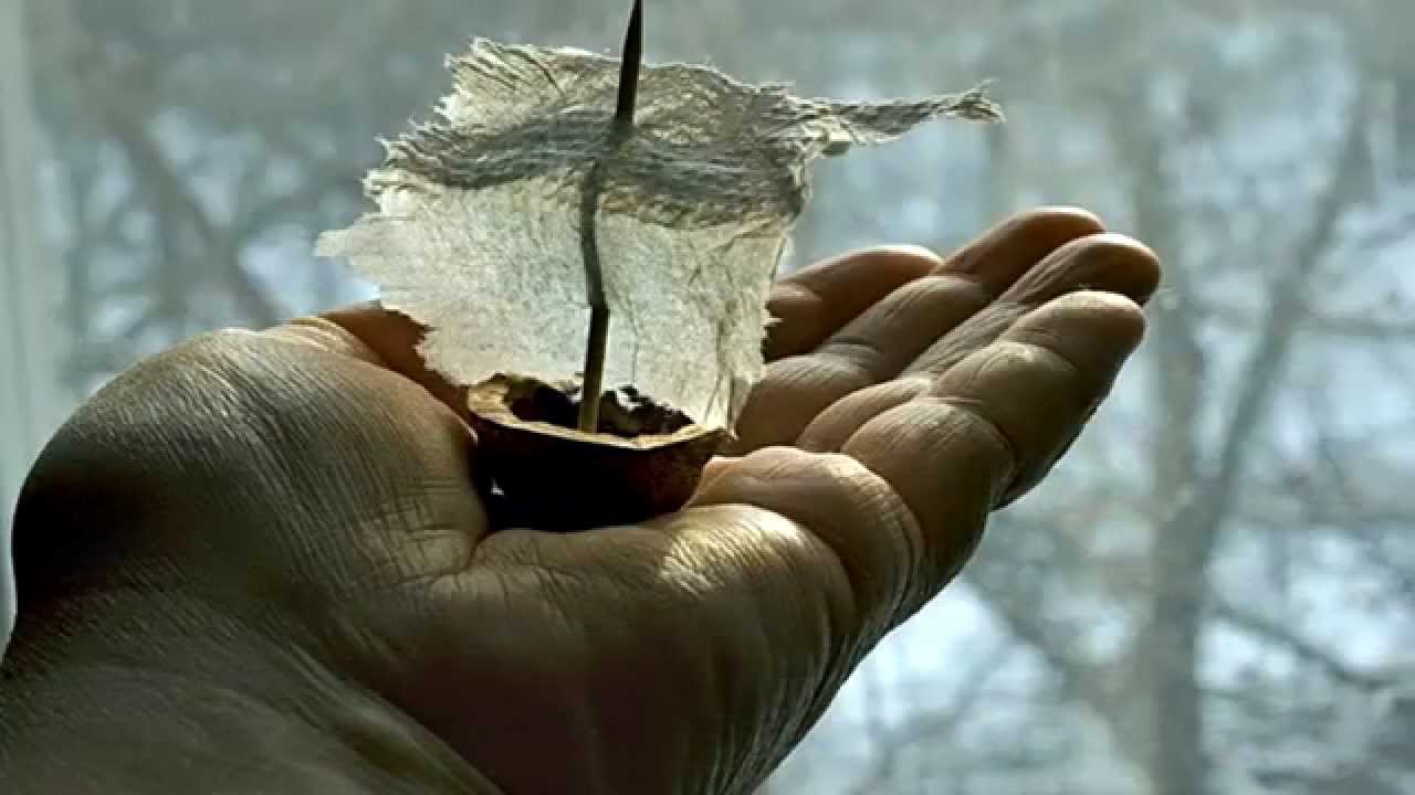 Хрупкие скульптуры из стекла. Уход с работы девушка. Хрупкость стекла. Хрупкая работа. Смена работы.