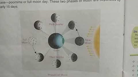 DAV Nahan Class-V Science Lesson-11, Part-10
