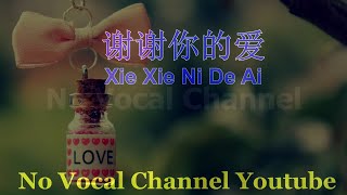 Xie Xie Ni De Ai ( 谢谢你的爱 ) Male Karaoke mandarin - No Vocal