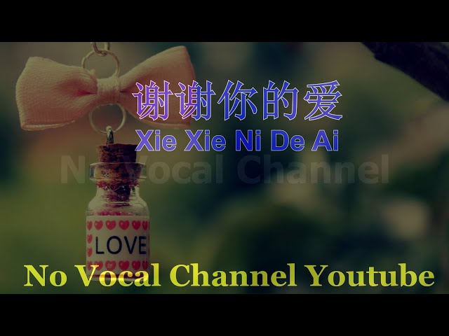 Xie Xie Ni De Ai ( 谢谢你的爱 ) Male Karaoke mandarin - No Vocal class=