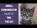 Animal Communicator Talks to Tina the Cat | Animal Communicator | Susie Shiner