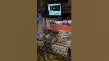 Model of runoff from natural surfaces vs paved surfaces