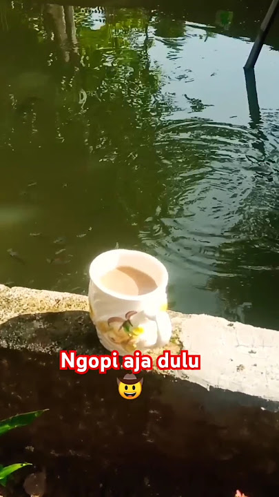 #storywa #motivation #love #motivasi #animasi #quotes #motivasi #katakatabijak