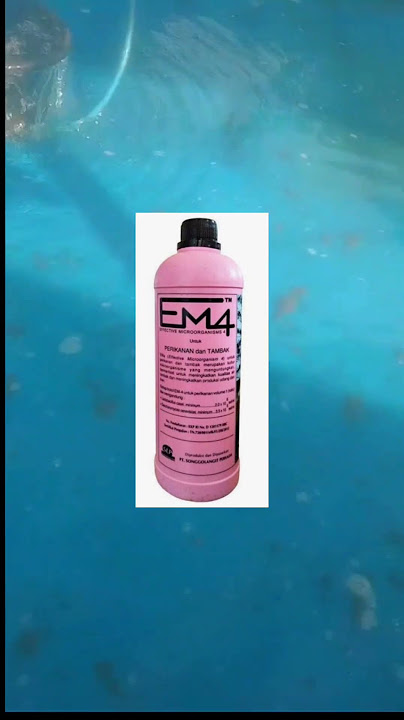 EM4 itu apa❓Dan fungsinya apa❓Gak nyangka 😁 ternyata masih banyak yang belum tau #shortsviral