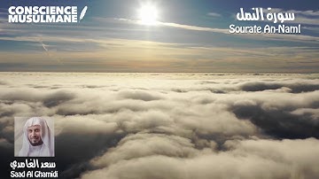 Sourate 27 An Naml - Les Fourmis / سورة النمل - سعد الغامدي