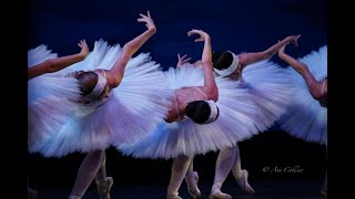 Swan Lake, presented by Dance Alive National Ballet
