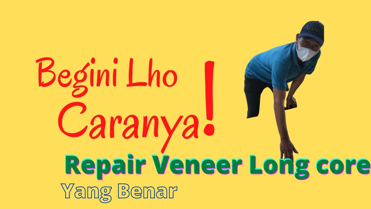Cara Repair Veneer Longcore Plywood yang Benar (How to Repair Plywood