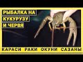 РЫБАЛКА В СЛАВЯНСКОМ РАЙОНЕ! 32 канал.