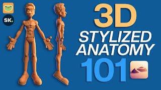 3D Stylized Anatomy 101 with Drugfreedave // New Skillshare Course!