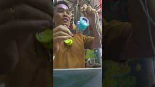 18.05.2026 ĐƠN BƯU PHẨM - MAGIC YOYO K1 TÍM NGỌC SỮA