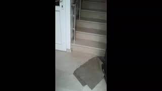 Merdiven Dans Akımı