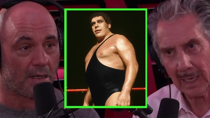 JRE: The Heartbreaking End of Andre the Giant… What Really Happened? - YouTube