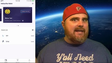 VeChainThor Wallet Review & Tutorial