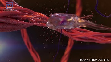 CÔNG NGHỆ THẨM MỸ PHÂN TỬ KHÍ NANO JET JVR Technology