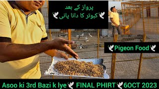Asoo ki 3rd Bàzi k lye Final Phirt  Friday | sambhal ka tarika | pigeon care for flying tournament