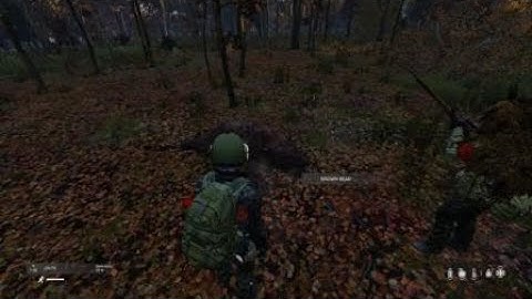 DayZ My First Bear Encounter