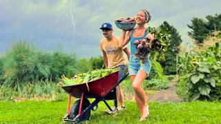 The Harvests are POURING IN! (but there's a storm coming)