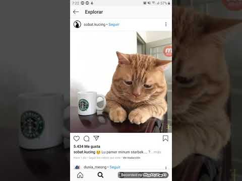 Video: 3 formas de publicar un mensaje en Instagram