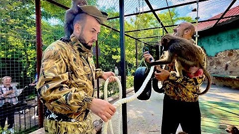 ВОТ ЭТО ВСТРЕЧА!!! Мы снова пришли все вместе к Люсе и малышам, нужно повесит канаты!