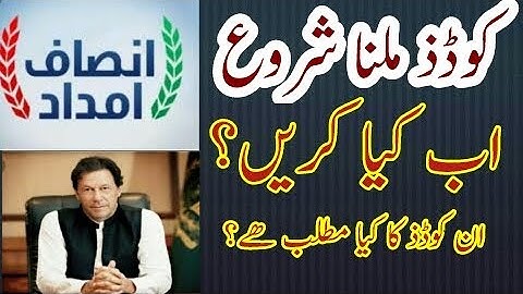 Insaf imdad Program passcode| INSAF IMDAD PROGRAM CODE