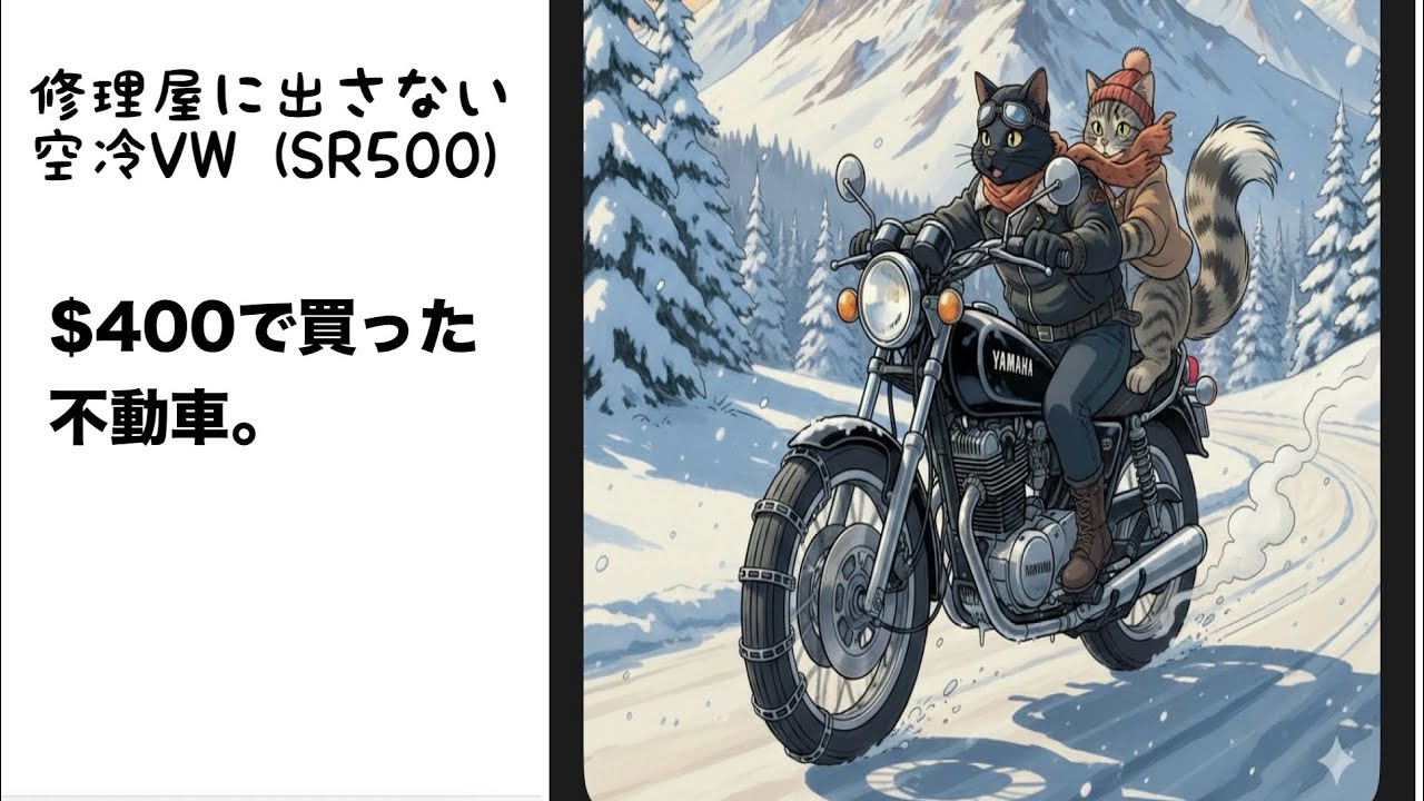 修理屋に出さないSR500