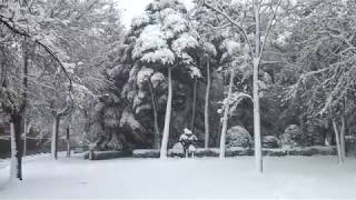 Parque de Jaca nevado, Enero 2019