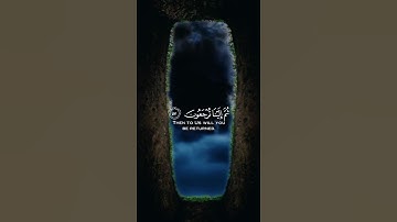 كُلُّ نَفْسٍ ذَائِقَةُ الْمَوْتِ ۖ ثُمَّ إِلَيْنَا تُرْجَعُونَ     القارئ عبدالرحمن مسعد #قران_كريم