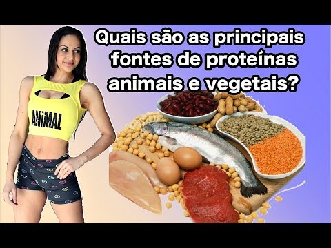 Principais fontes de proteínas animais e vegetais