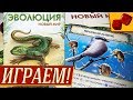 Эволюция. Новый Мир - ИГРАЕМ!