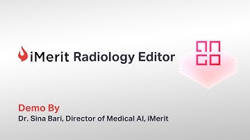 iMerit Radiology Editor - Demo
