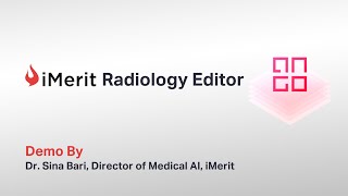 Imerit Radiology Editor - Demo
