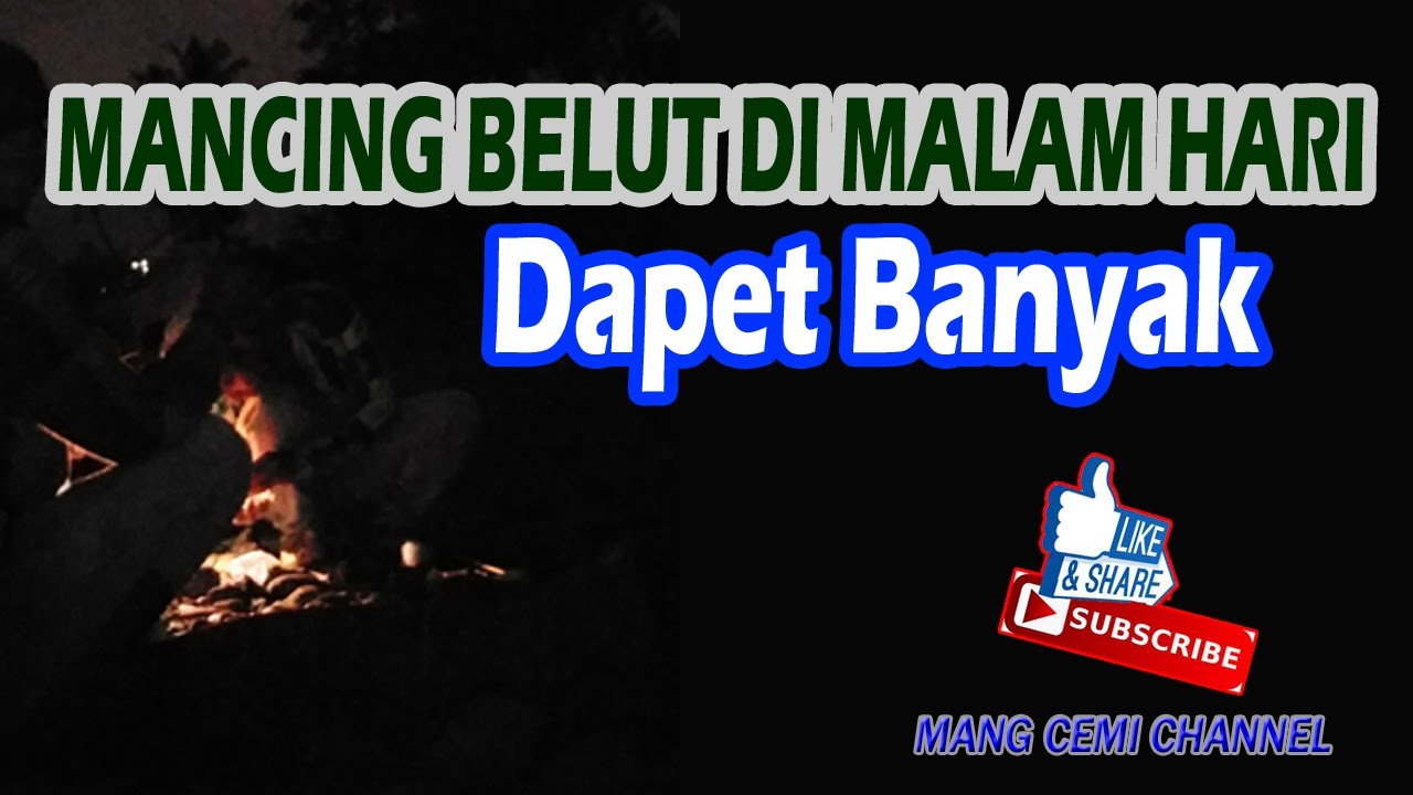 Mancing belut di malam hari