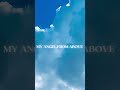 ANGEL | X MILLER