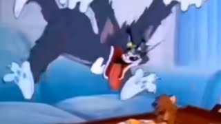 Top 5 Tom And Jerry