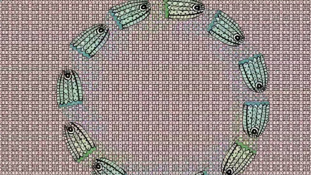 GinkGo - Bajzel + Magda Pilecka | visuals | full album