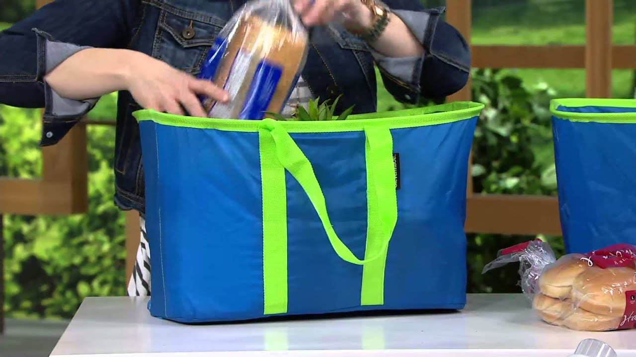 SnapBaskets Set of 2 Shopping & Utility Baskets by CleverMade on QVC